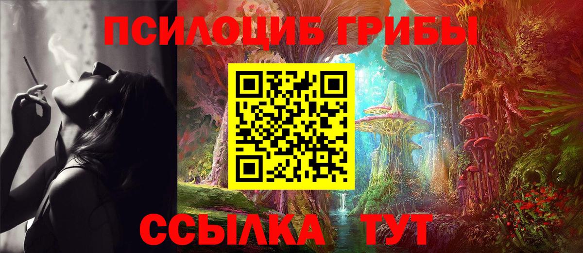 Тосно  Псилоцибиновые грибы Psilocybe  Вход с VPN  Псилоцибиновые грибы ЛСД 